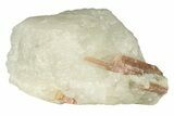 Pink Tourmaline (Rubellite) in Quartz - Brazil #257891-1